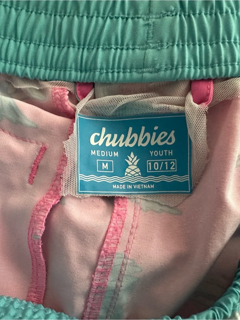 chubbies Teal & Pink Youth Swim Shorts